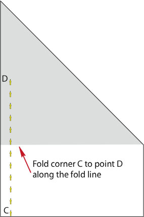 Figure #11