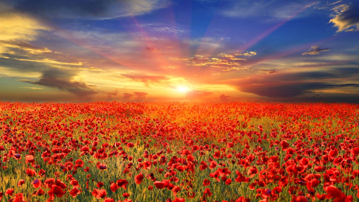 home-banner-desktop