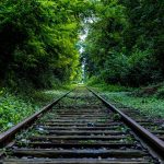 learn-more-5