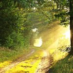miracles-1