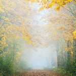 miracles-2