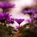 persecution-a