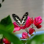 relationship-3
