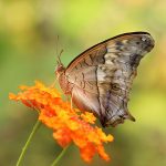 teachings-1