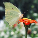 teachings-3