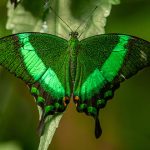 teachings-4